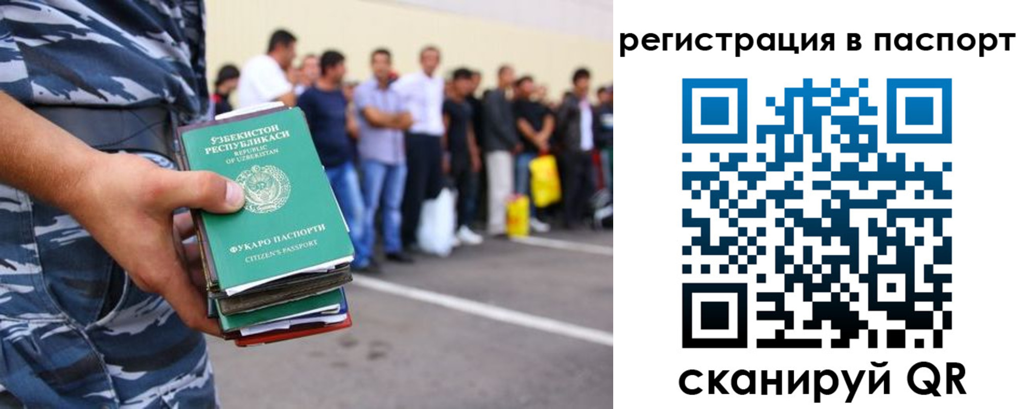 временная прописка в Щёкино